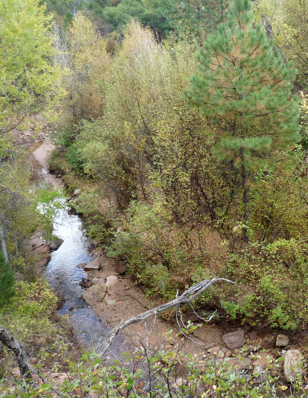 Plumber in Beltsville, MD